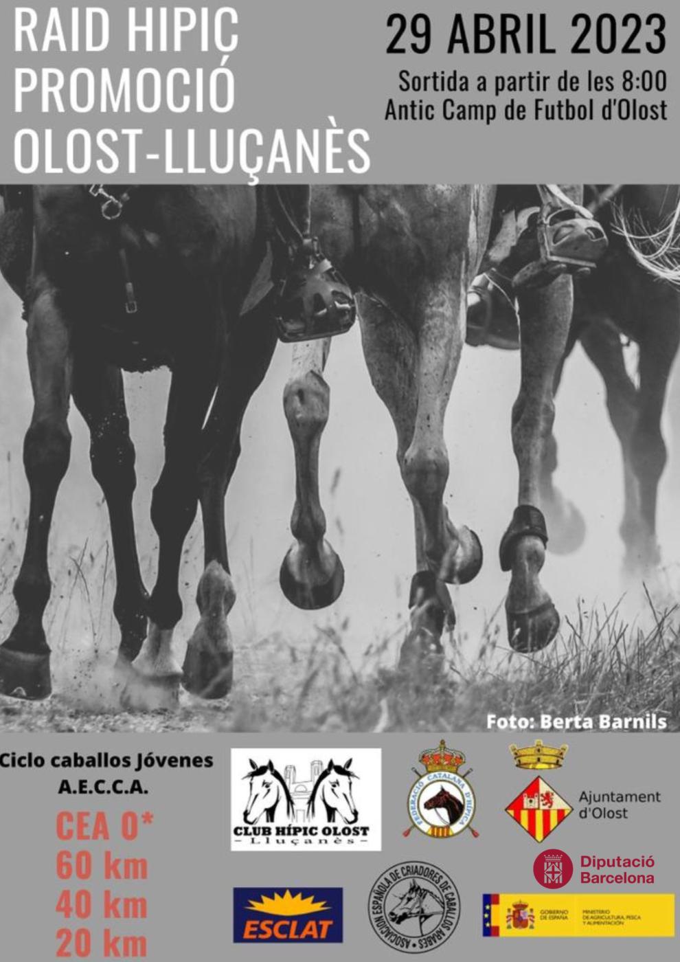Raid hípic promoció Olost - Lluçanès